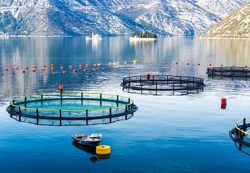 Aquaculture