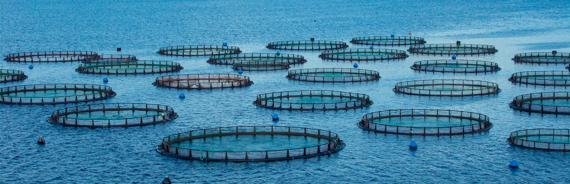 Aquaculture