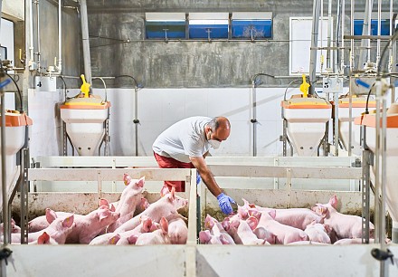 Swine Nutrition Research Centre