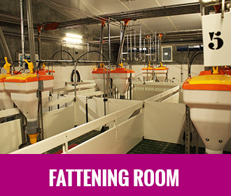 Fattening room